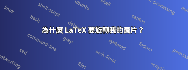 為什麼 LaTeX 要旋轉我的圖片？