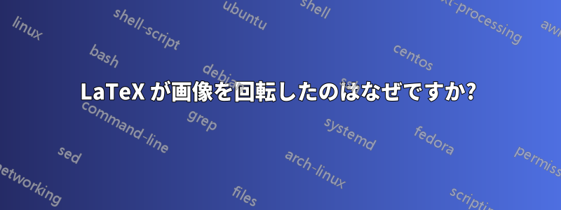 LaTeX が画像を回転したのはなぜですか?