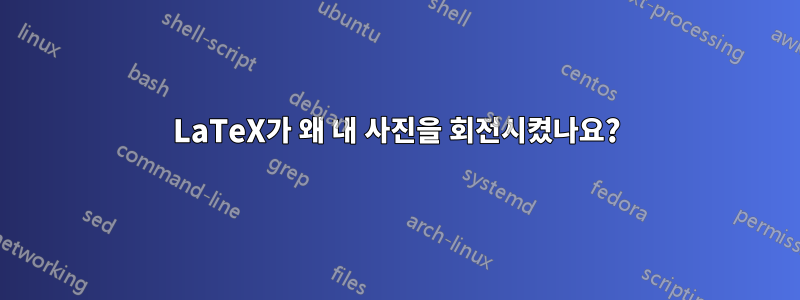 LaTeX가 왜 내 사진을 회전시켰나요?