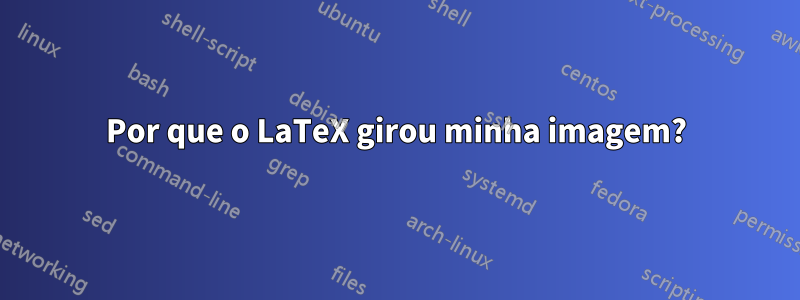 Por que o LaTeX girou minha imagem?
