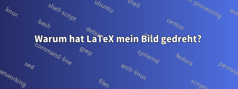 Warum hat LaTeX mein Bild gedreht?