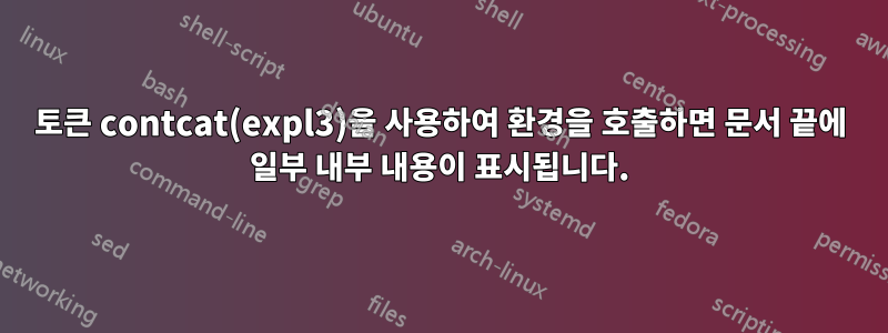 토큰 contcat(expl3)을 사용하여 환경을 호출하면 문서 끝에 일부 내부 내용이 표시됩니다.
