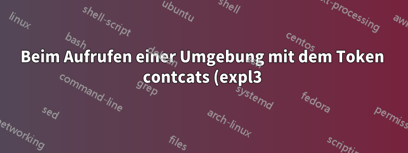 Beim Aufrufen einer Umgebung mit dem Token contcats (expl3) werden einige interne Inhalte am Ende des Dokuments angezeigt