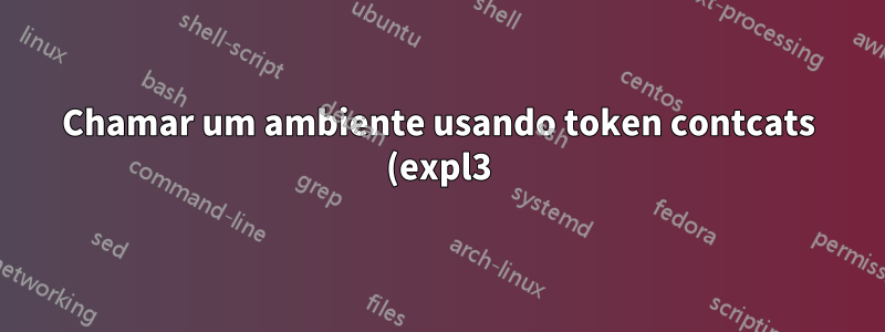 Chamar um ambiente usando token contcats (expl3) faz com que alguns conteúdos internos apareçam no final do documento