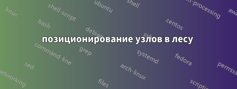 позиционирование узлов в лесу