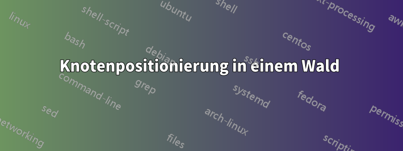Knotenpositionierung in einem Wald