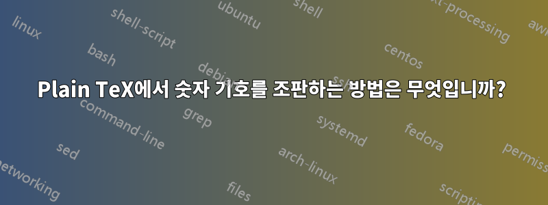 Plain TeX에서 숫자 기호를 조판하는 방법은 무엇입니까?