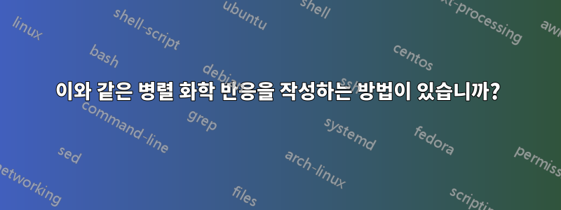 이와 같은 병렬 화학 반응을 작성하는 방법이 있습니까?