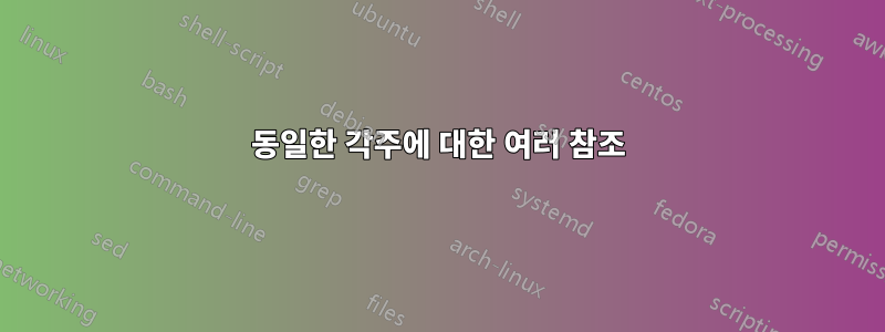 동일한 각주에 대한 여러 참조