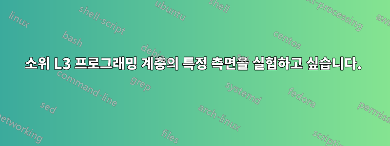 소위 L3 프로그래밍 계층의 특정 측면을 실험하고 싶습니다.