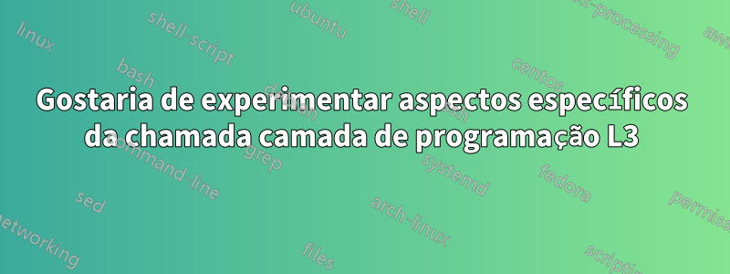 Gostaria de experimentar aspectos específicos da chamada camada de programação L3