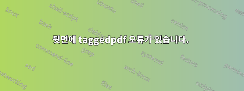 뒷면에 taggedpdf 오류가 있습니다.