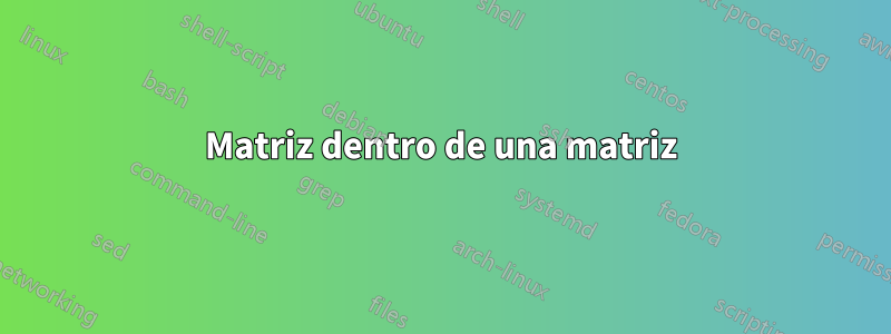 Matriz dentro de una matriz