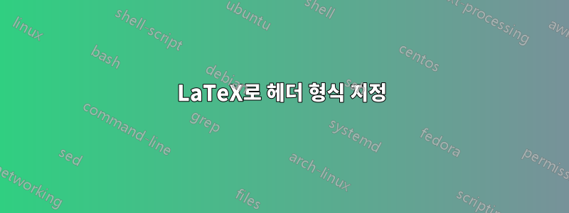 LaTeX로 헤더 형식 지정