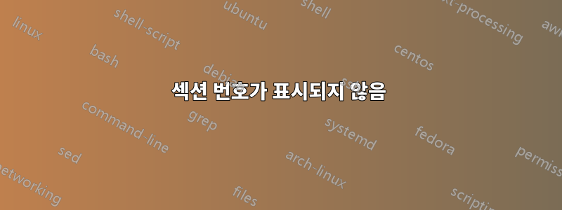 섹션 번호가 표시되지 않음