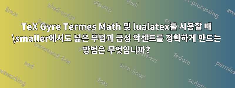 TeX Gyre Termes Math 및 lualatex를 사용할 때 \smaller에서도 넓은 무덤과 급성 악센트를 정확하게 만드는 방법은 무엇입니까?