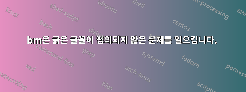 bm은 굵은 글꼴이 정의되지 않은 문제를 일으킵니다.