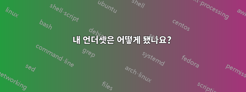 내 언더셋은 어떻게 됐나요?