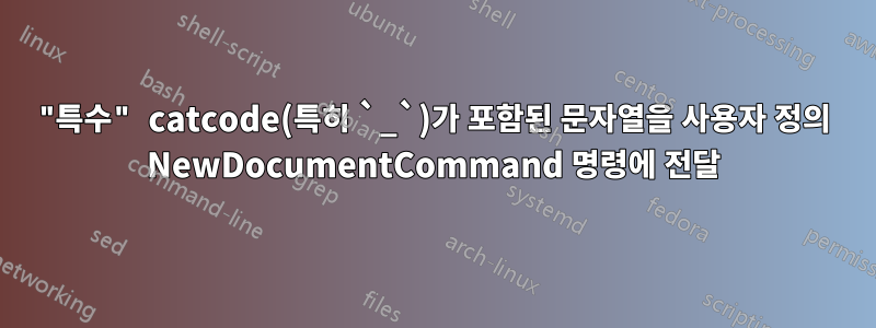 "특수" catcode(특히 `_`)가 포함된 문자열을 사용자 정의 NewDocumentCommand 명령에 전달