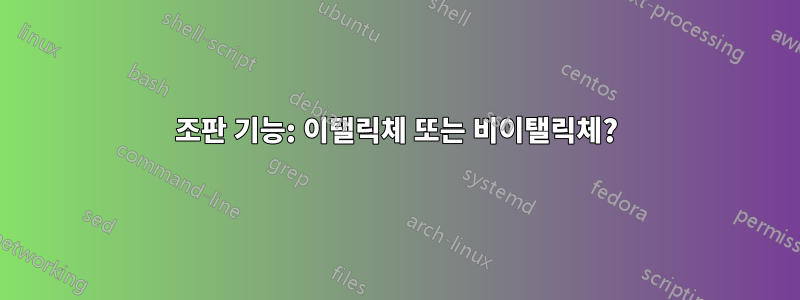 조판 기능: 이탤릭체 또는 비이탤릭체?