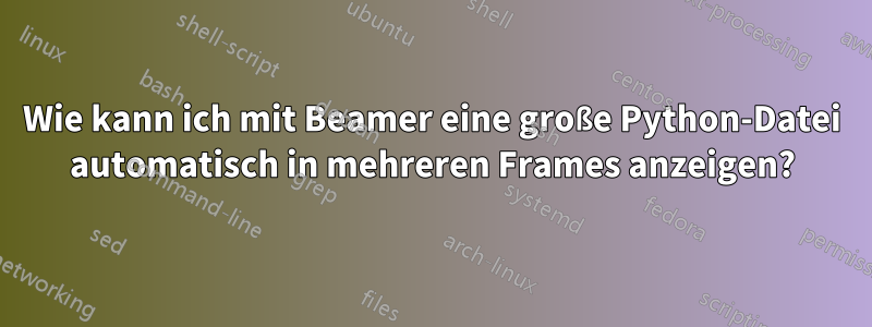 Wie kann ich mit Beamer eine große Python-Datei automatisch in mehreren Frames anzeigen?