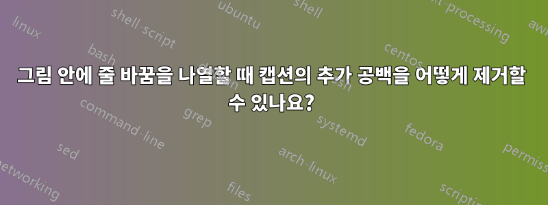 그림 안에 줄 바꿈을 나열할 때 캡션의 추가 공백을 어떻게 제거할 수 있나요?