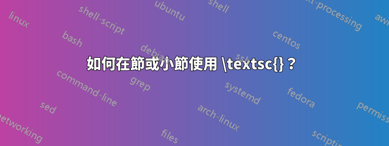 如何在節或小節使用 \textsc{}？