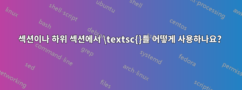 섹션이나 하위 섹션에서 \textsc{}를 어떻게 사용하나요?