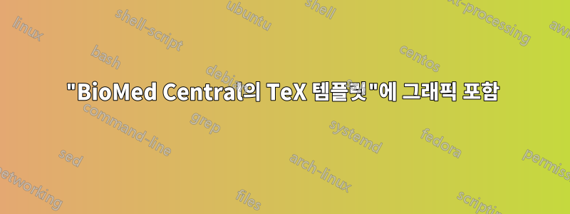"BioMed Central의 TeX 템플릿"에 그래픽 포함