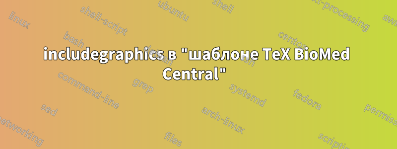 includegraphics в "шаблоне TeX BioMed Central"