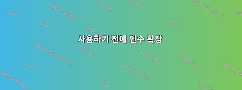 사용하기 전에 인수 확장