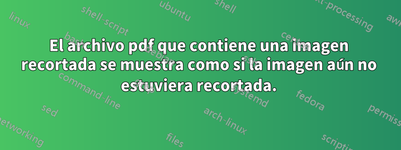 El archivo pdf que contiene una imagen recortada se muestra como si la imagen aún no estuviera recortada.