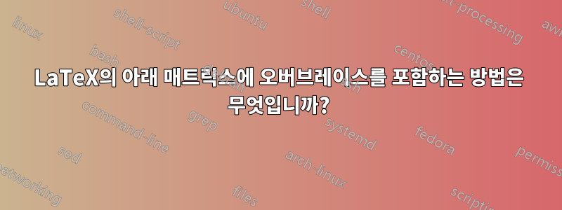LaTeX의 아래 매트릭스에 오버브레이스를 포함하는 방법은 무엇입니까?
