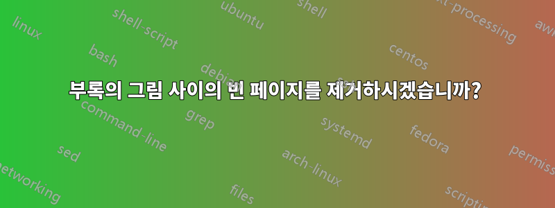 부록의 그림 사이의 빈 페이지를 제거하시겠습니까?