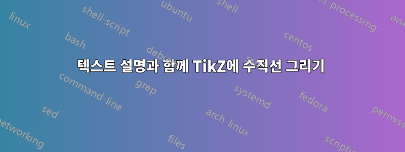 텍스트 설명과 함께 TikZ에 수직선 그리기