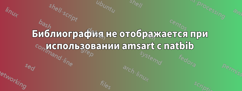 Библиография не отображается при использовании amsart с natbib