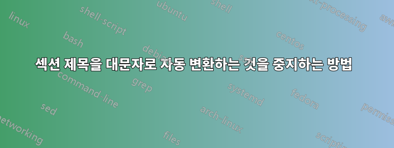 섹션 제목을 대문자로 자동 변환하는 것을 중지하는 방법 