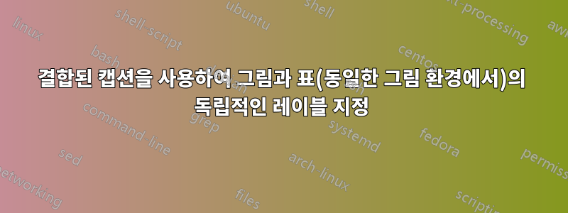 결합된 캡션을 사용하여 그림과 표(동일한 그림 환경에서)의 독립적인 레이블 지정