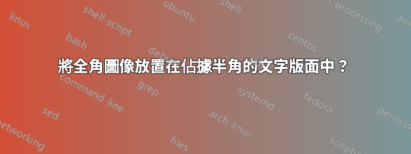 將全角圖像放置在佔據半角的文字版面中？