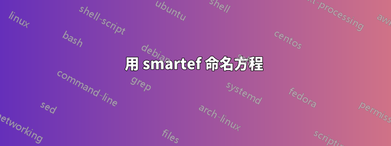 用 smartef 命名方程