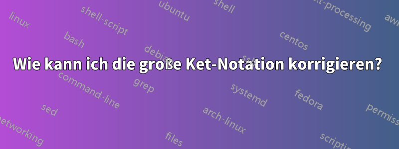Wie kann ich die große Ket-Notation korrigieren?