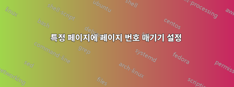 특정 페이지에 페이지 번호 매기기 설정