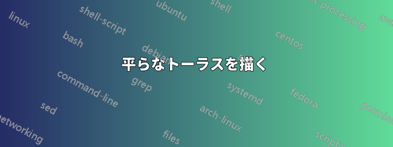 平らなトーラスを描く