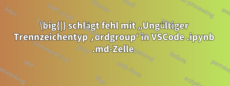 \big{|} schlägt fehl mit „Ungültiger Trennzeichentyp ‚ordgroup‘ in VSCode .ipynb .md-Zelle 