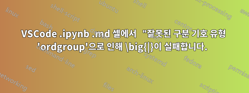 VSCode .ipynb .md 셀에서 "잘못된 구분 기호 유형 'ordgroup'으로 인해 \big{|}이 실패합니다. 