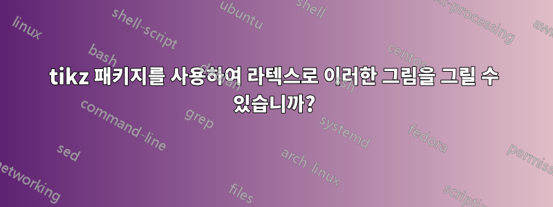tikz 패키지를 사용하여 라텍스로 이러한 그림을 그릴 수 있습니까?