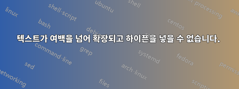 텍스트가 여백을 넘어 확장되고 하이픈을 넣을 수 없습니다.