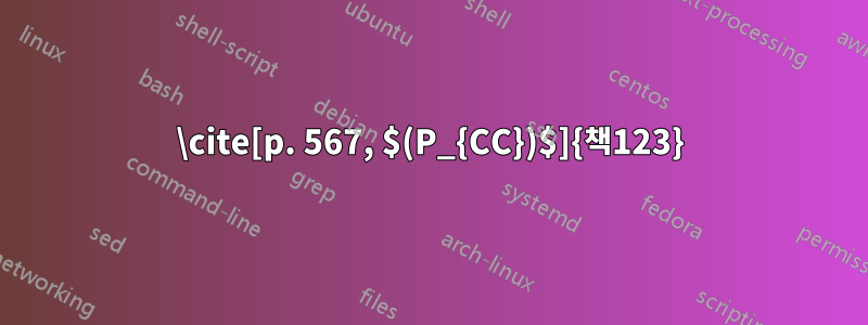 \cite[p. 567, $(P_{CC})$]{책123}