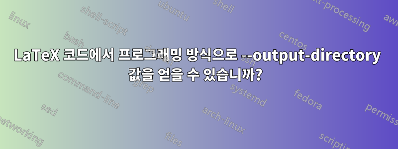 LaTeX 코드에서 프로그래밍 방식으로 --output-directory 값을 얻을 수 있습니까? 