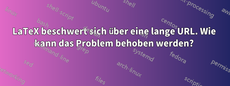 LaTeX beschwert sich über eine lange URL. Wie kann das Problem behoben werden?